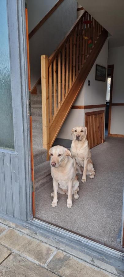Bb@No17 Bed & Breakfast Aviemore Exterior photo